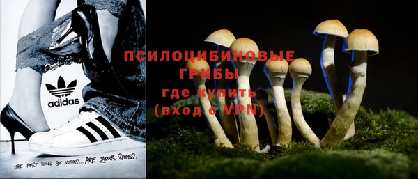 мяу мяу мука Белокуриха